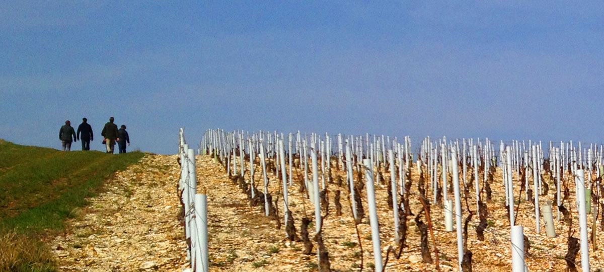 Les Marchands Wine Bar & Merchant